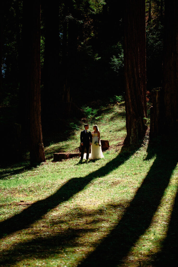 California wedding photographer captures the Bride and groom on their wedding day in the California redwoods. 