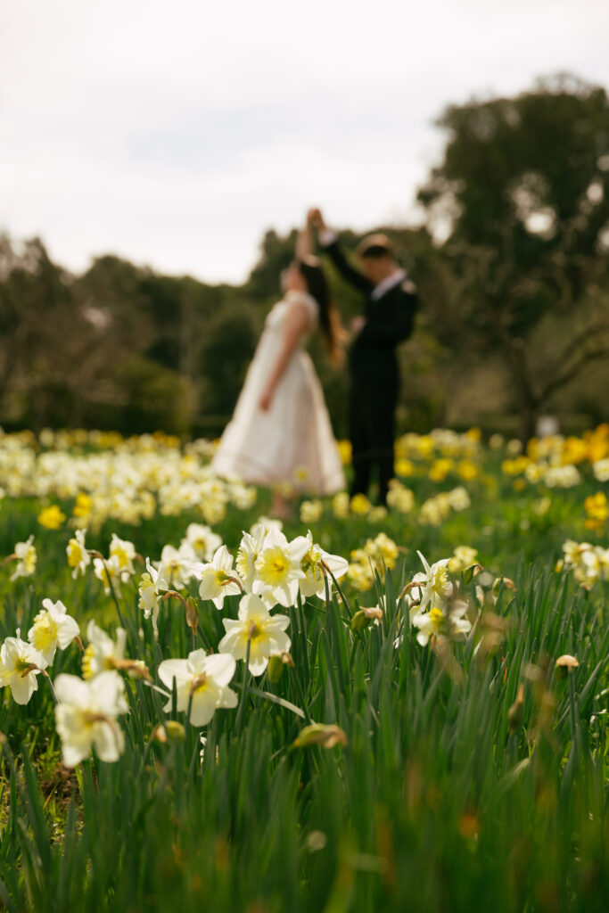 Photos at Filoli