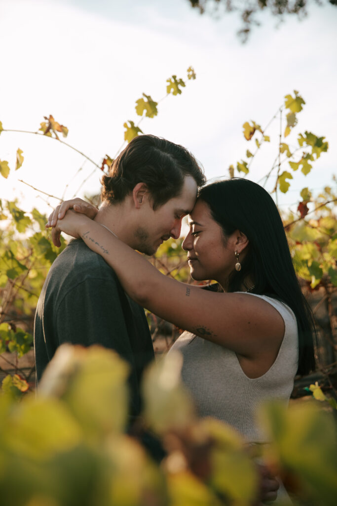 Santa Rosa Engagement Photos