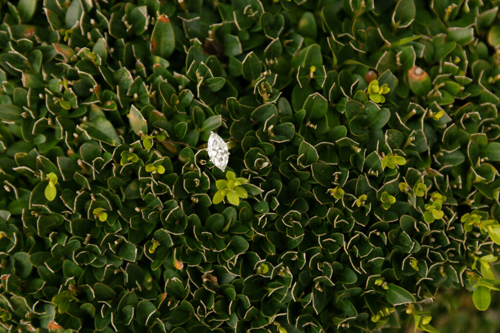 Engagement ring at a photo session at Filoli Gardens