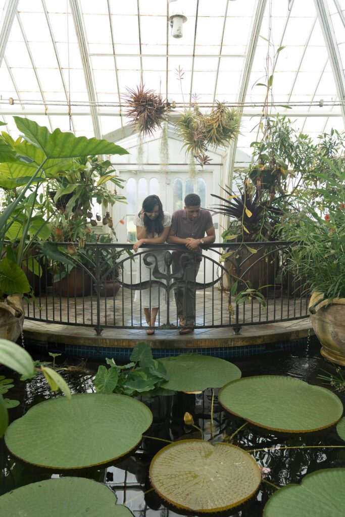 Couple looking at lily pond at Conservatory of Flowers Golden Gate Park, San Francisco engagement photographer