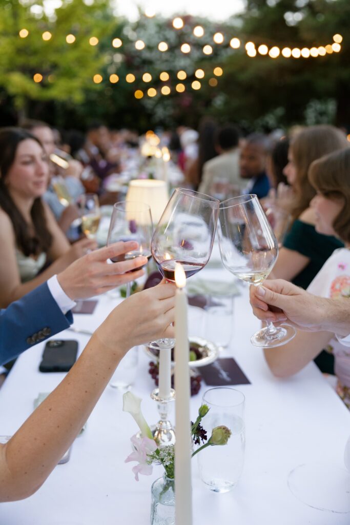 Guests toasting with wine under string lights at Park Winters outdoor reception, Rose Freedman Photography