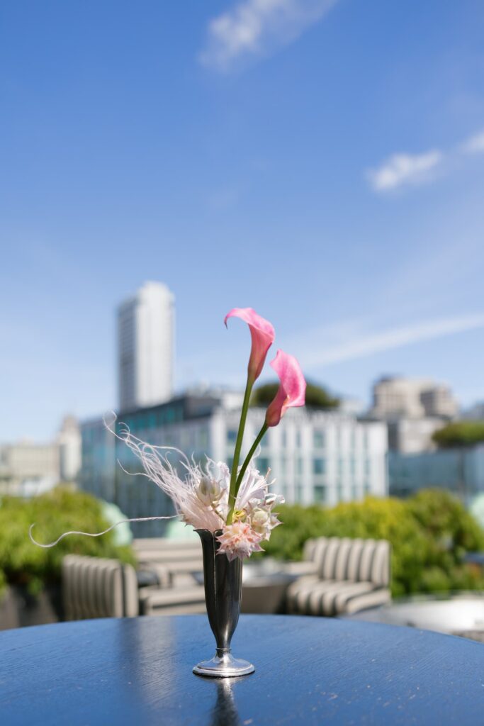 Pink calla lily in vase on Charmaine's Rooftop with San Francisco skyline, Rose Freedman Photography