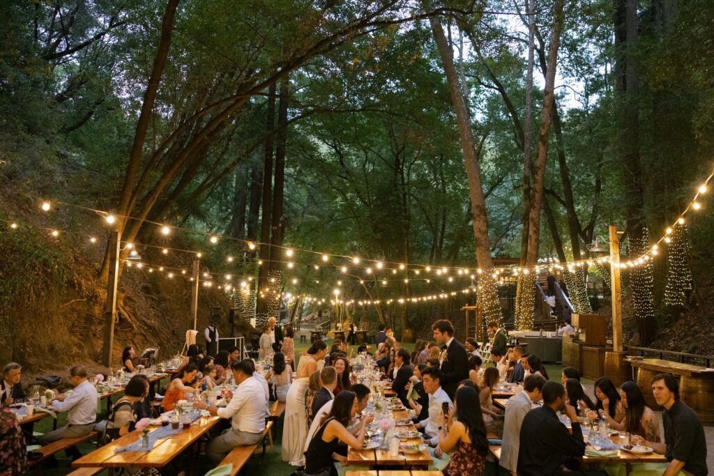 Outdoor wedding reception under string lights in California redwood forest at Saratoga Springs at dusk