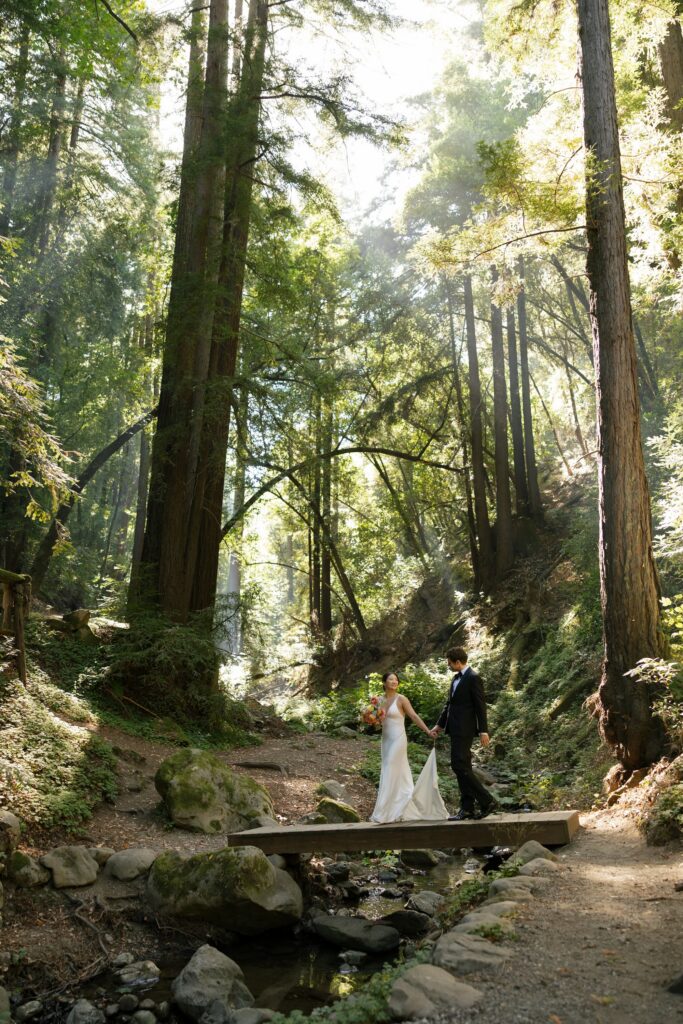 Bride and groom walking hand in hand through redwood forest canyon at Saratoga Springs wedding in the Santa Cruz Mountains