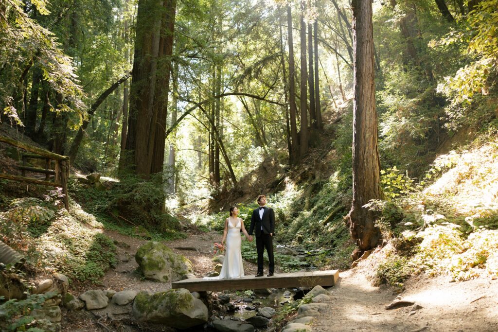 Bride and groom standing on wooden bridge surrounded by towering redwoods at Saratoga Springs wedding
